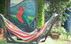 Fig Tree Retro Studio - thumb 1