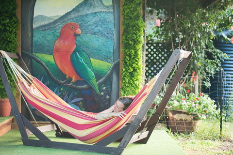 Fig Tree Retro Studio - Broome Tourism 1