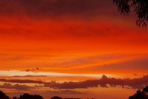 Abelia BIG SPA NO 1 Cottage - Broome Tourism 4