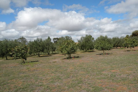 Thalia Getaway Villa - Broome Tourism 2