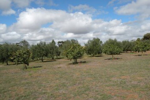 Thalia Getaway Villa - Broome Tourism 3