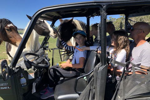 High Country Trail Rides & Farm Stay - Broome Tourism 4