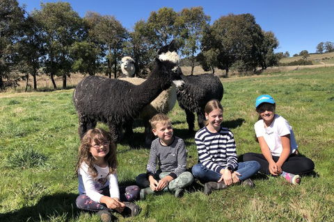 High Country Trail Rides & Farm Stay - Broome Tourism 3