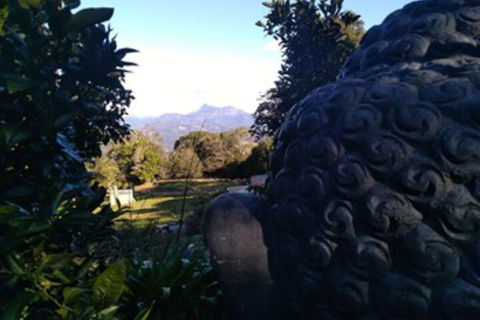 Ruah Rain Forest Retreat - Broome Tourism 0