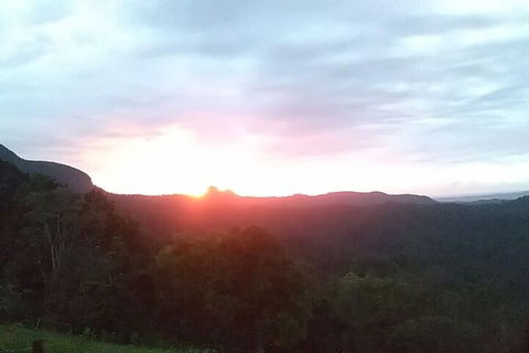 Ruah Rain Forest Retreat - Broome Tourism 4