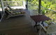 Mission Beach Escape BnB - thumb 7