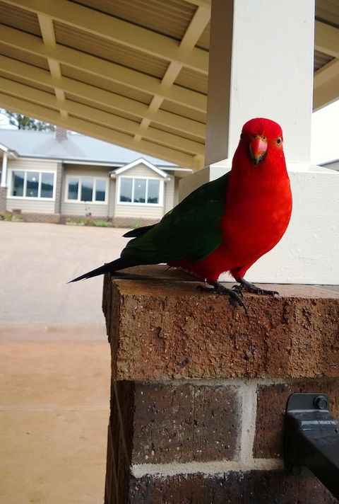 Marysville Garden Cottages - Broome Tourism 3