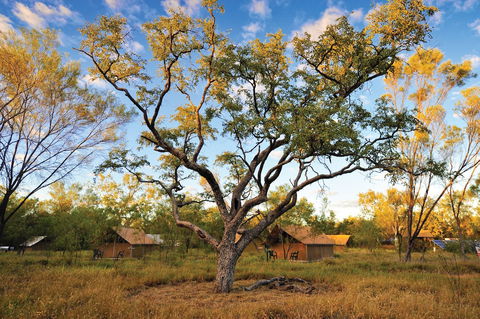 Bungle Bungle Wilderness Lodge - Broome Tourism 5