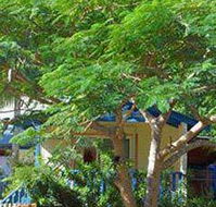Amber Gardens Guesthouse - Broome Tourism