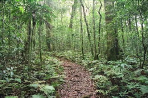 Goomburra Forest Retreat - Broome Tourism 5