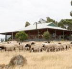 Gilgraves Vineyard Farmstay - Broome Tourism