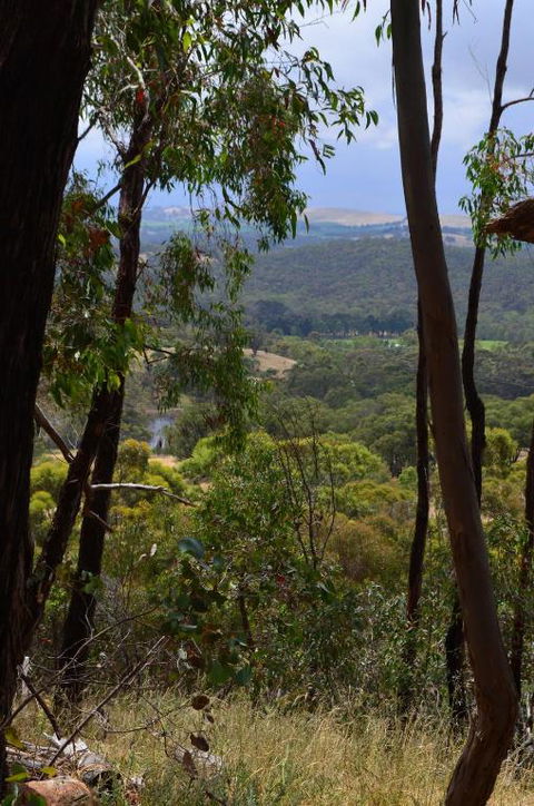 Trestrail Cottage B & B - Broome Tourism 3