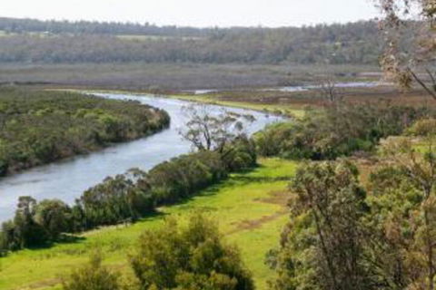Brodribb River Rainforest Cabins Cabin 1 - Broome Tourism 4