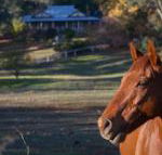 Historic Oak Hill House Estate Truffle Gourmet Festival Region - Broome Tourism