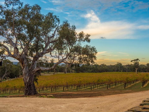 Shadow Creek McLaren Vale - Broome Tourism 3