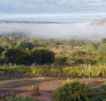Pecan Hill BNB - Broome Tourism