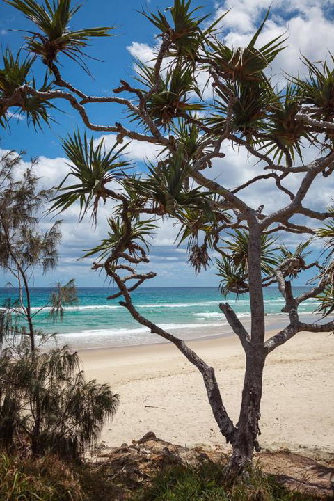 McLeod - Broome Tourism 2