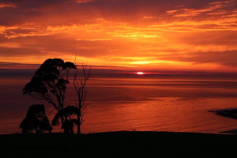 Penguin Seaside Farm - Broome Tourism 2