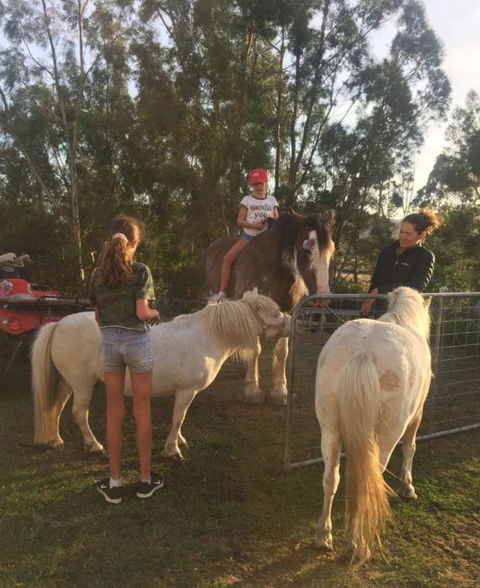 Glamping Gypsy Hobart - Broome Tourism 5