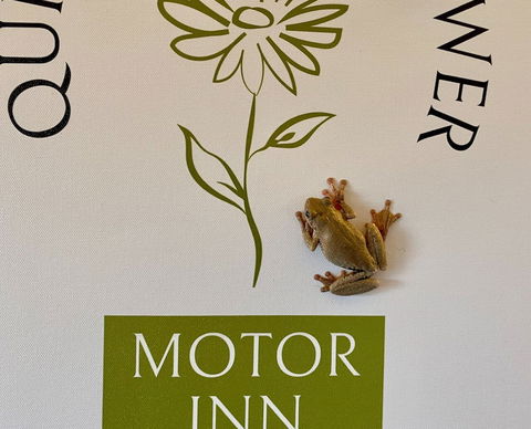 Quirindi Sunflower Motor Inn - Broome Tourism 2