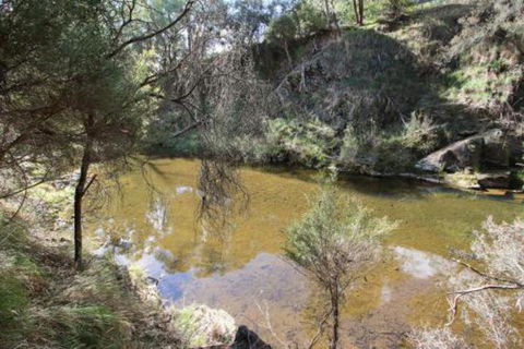 Alpine Streamside - Broome Tourism 3
