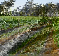 Renovated Cottage Aberdare Hunter Valley - Broome Tourism