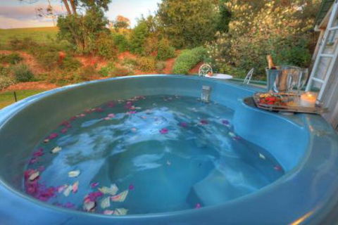 Maleny Homestead & Cottage - Broome Tourism 4