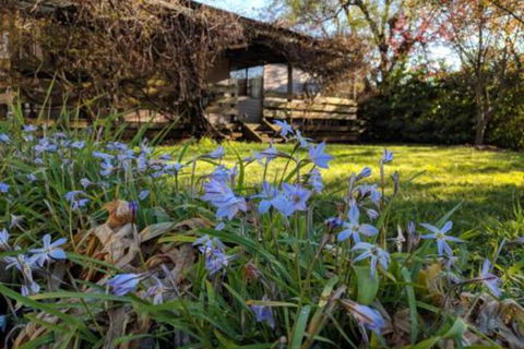 Alexander Cottage - Broome Tourism 3