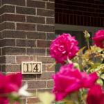 Rose Cottage Charming Double Brick Near Cook Park & CBD - Broome Tourism 1