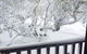 Snowmass Chalet - thumb 4