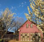 Magenta Cottage - Broome Tourism