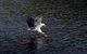 Arthur Riverfront & Sea Lodge Upstream - thumb 1