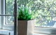 Olinda Two Bedroom Apartment B2 - thumb 3