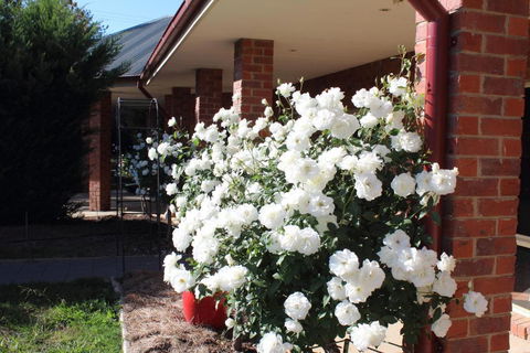 Gundaroo Manor Bed & Breakfast - Broome Tourism 1