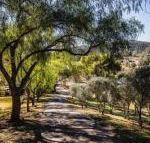 Capers Guesthouse Barn  Cottage - Broome Tourism