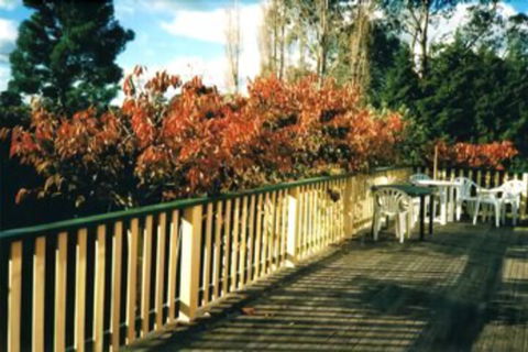 Heronswood House B & B - Broome Tourism 7