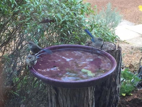 Dunsborough Ridge Retreat - Broome Tourism 6