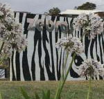 Zebras Guest House - Broome Tourism
