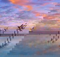 Global Backpackers Cairns - Broome Tourism
