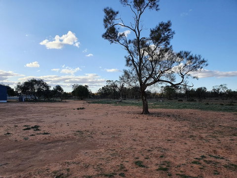 Mungo Roo - Broome Tourism 4