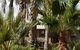 Red Ochre â€“ Large 1BR With Private Courtyard - thumb 3