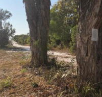 COONARR BEACH  BUNDABERG CAMPING - Broome Tourism