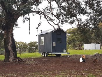 Big Tiny Dale View Tiny House - Broome Tourism 1