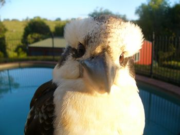 Belle La Vie B & B - Broome Tourism 3