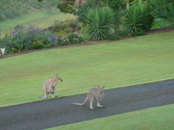 Belle La Vie B & B - Broome Tourism 5