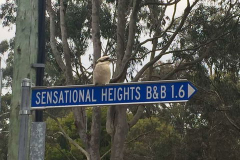 Sensational Heights Bed & Breakfast - Broome Tourism 2