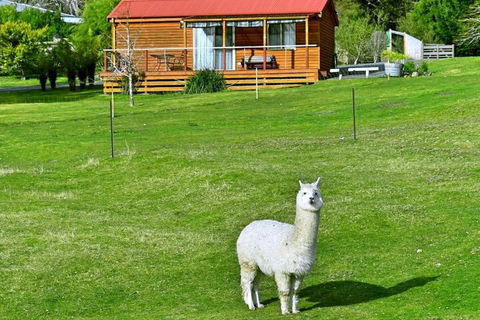 Maydena Mountain Cabins - Broome Tourism 2