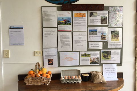 Alstonville Country Cottages - Broome Tourism 5