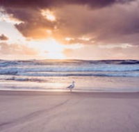 Blue Waters Motel - Broome Tourism