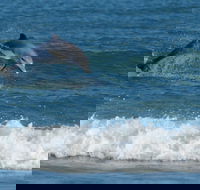 Summerhills Retreat Byron Bay - Broome Tourism